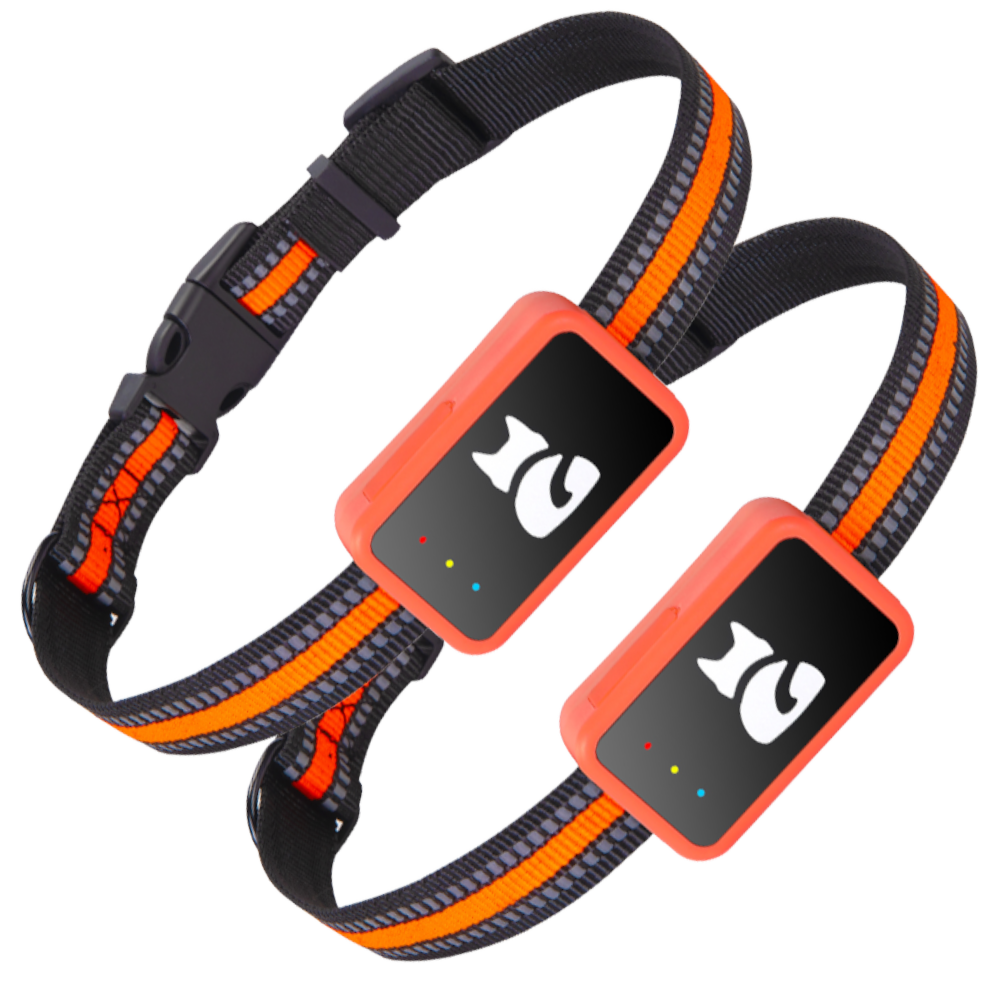 2x PawGuard 4G Pro