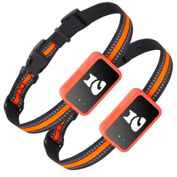 2x PawGuard 4G Pro