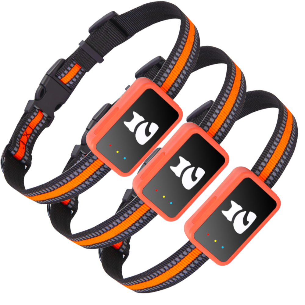 3x PawGuard 4G Pro